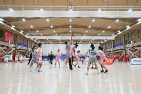 传《宝可梦传说Z-A》易遇异色宝可梦秘方